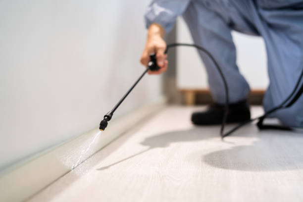 Licensed Termite Control service in Winthrop, MN - Nex Pest Control