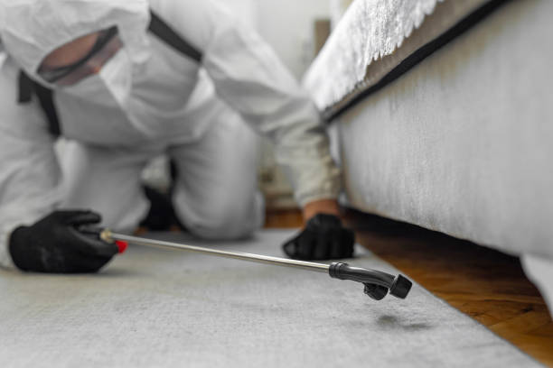 Professional Termite Control technician working in Winthrop, MN