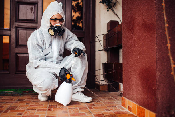 Reliable Termite Control contractor in Winthrop, MN by Nex Pest Control