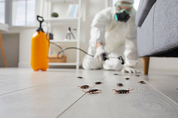 Trusted Termite Control service in Winthrop, MN - Nex Pest Control