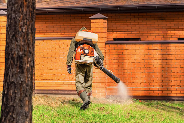 Trusted Mosquito Control service in Winthrop, MN - Nex Pest Control